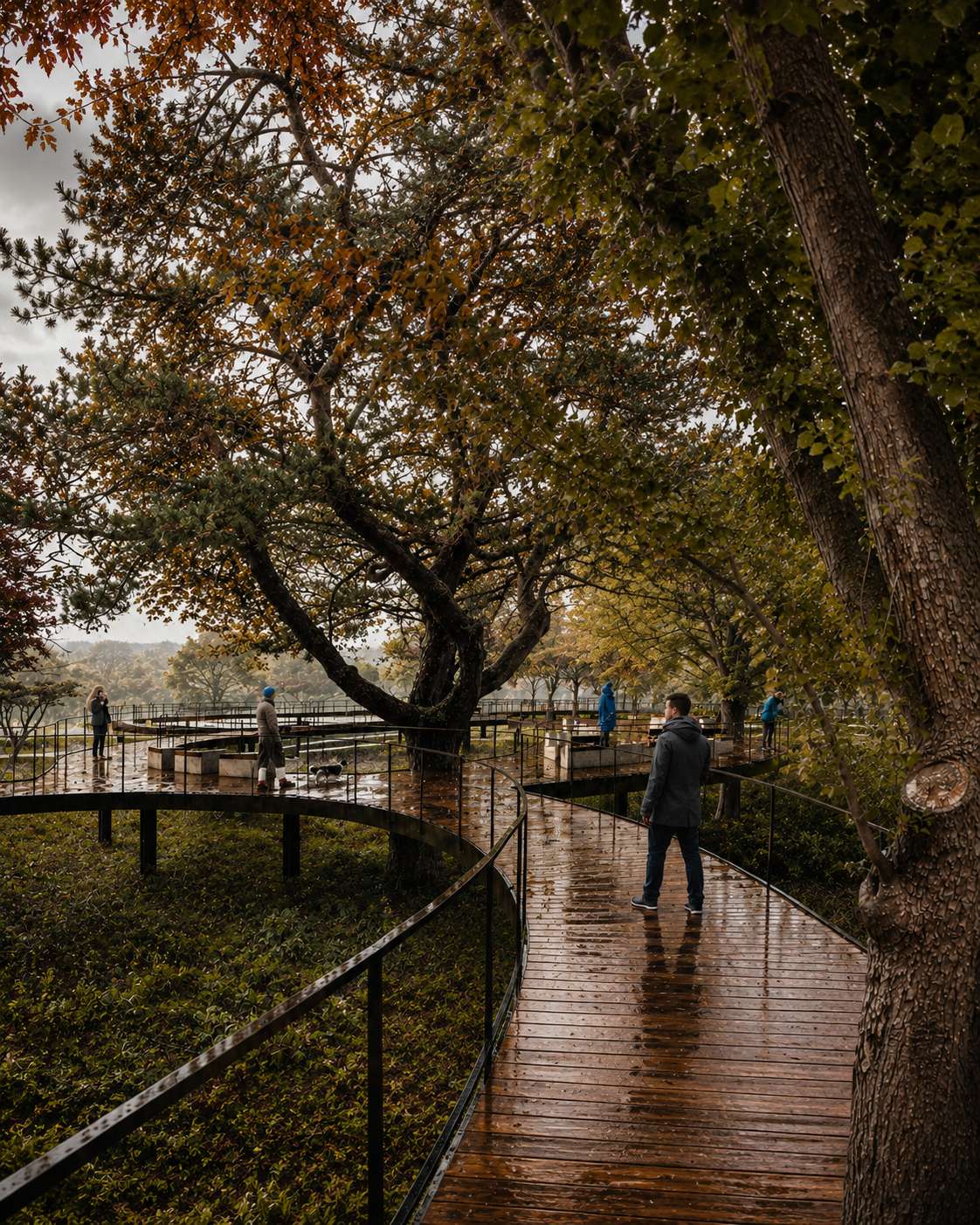 Elevated wooden boardwalk winding through a forest park, providing accessible circulation and scenic viewpoints.